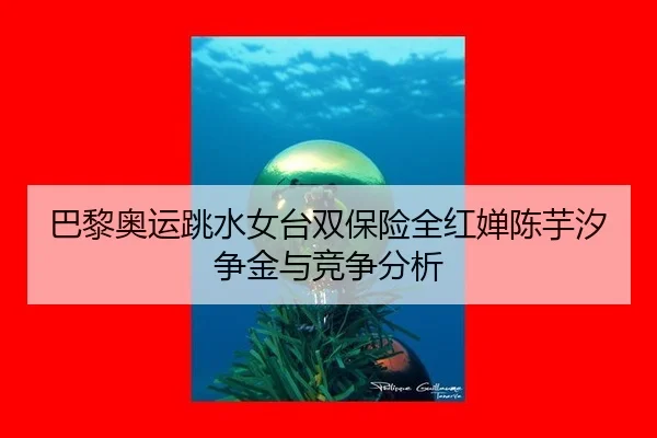 巴黎奥运跳水女台双保险全红婵陈芋汐争金与竞争分析